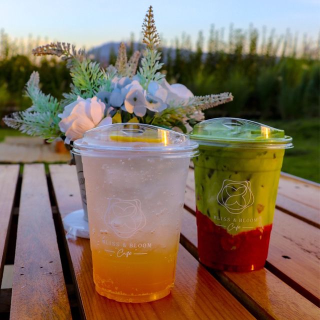 Bliss & Bloom cafe คาเฟ่ดีไซน์สวย กลางทุ่งดอกไม้