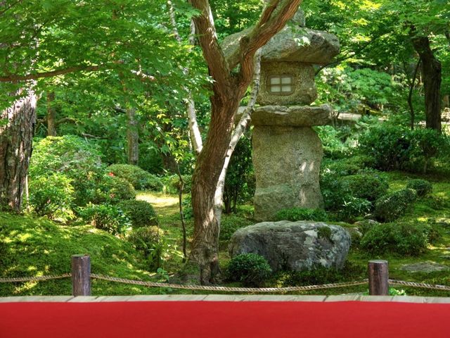 【京都市】青葉に映える緋毛氈🟥🌿