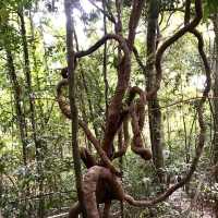 อุทยานแห่งชาติหมู่เกาะลันตา กระบี่