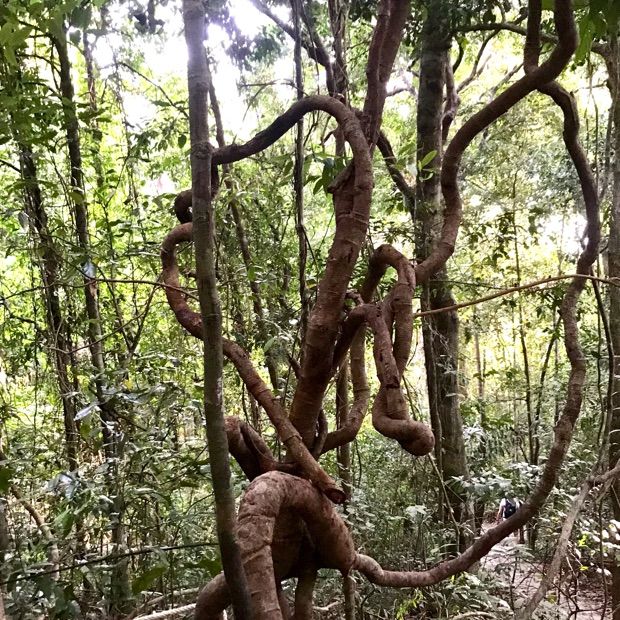 อุทยานแห่งชาติหมู่เกาะลันตา กระบี่