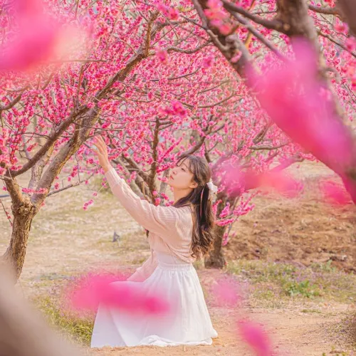 🌸봄의 매화가 가득히 피어난 부산 봄 여행지 [기장, 매화원]🌸