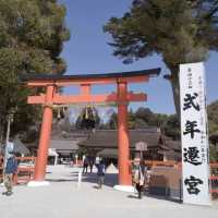 上賀茂神社の桜は五分咲きで華やかだった。