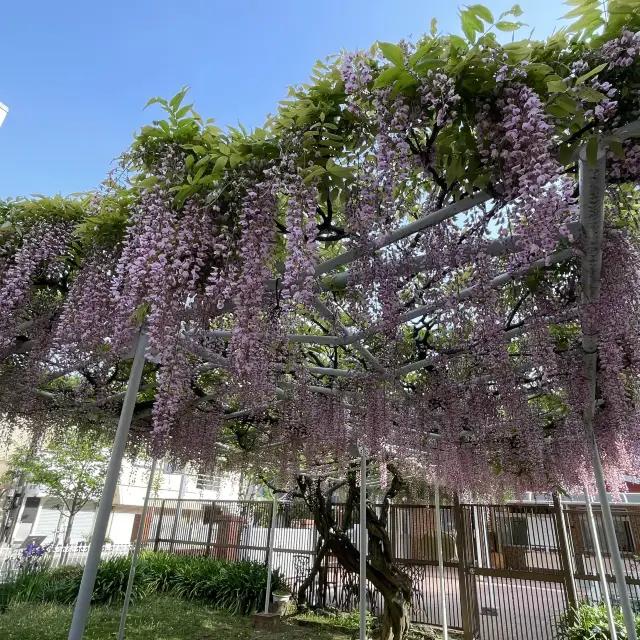 【福岡】西公園参道にある教会