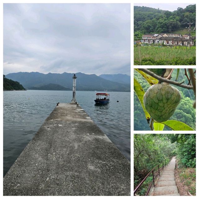暴雨前⛈️鹿頸至谷埔👣