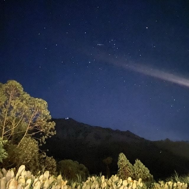 VOLCANIC MOUNTAIN HIKE 