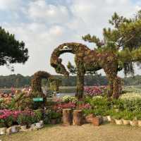 Lam Vien Square - Dalat beautiful artificial