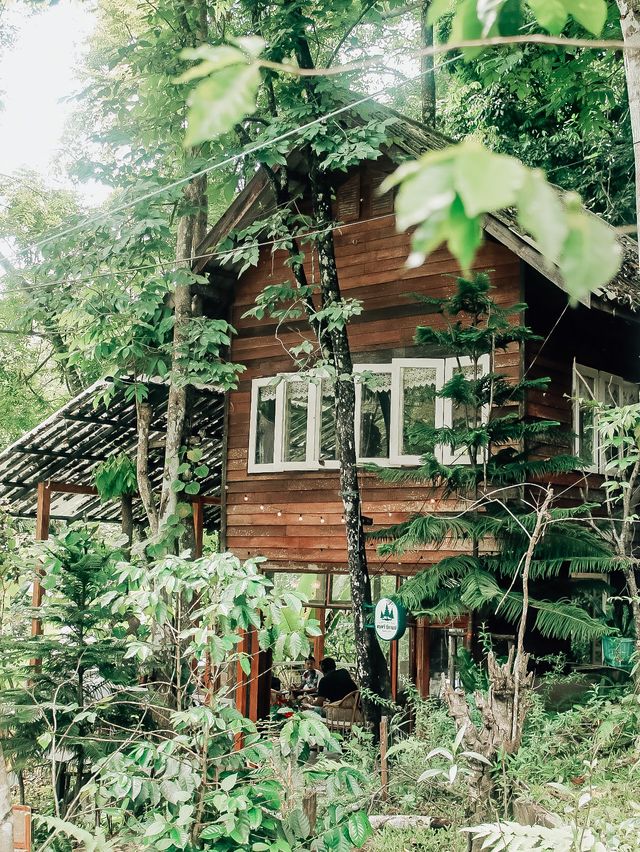 สมศรีมีกาแฟ : Somsee mee kafe 🌲🪵🏠☕️