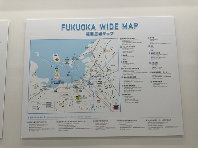 福岡・百道浜。『福岡タワー』を無料で楽しむ『バースデー特典』(夜利用)