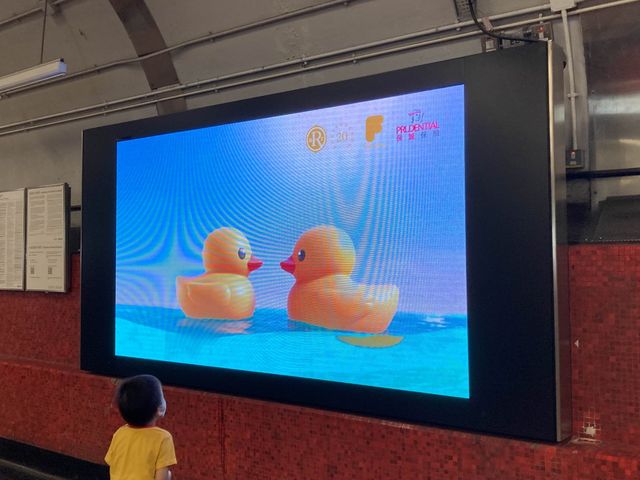 《🐤期間限定黃鴨主題車站🚇》