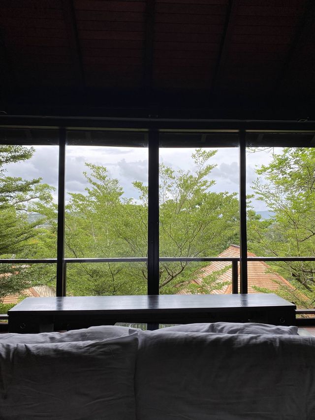 숲속에서 즐기는 풀빌라 호캉스🌿 푸켓 졸리튜드 풀빌라