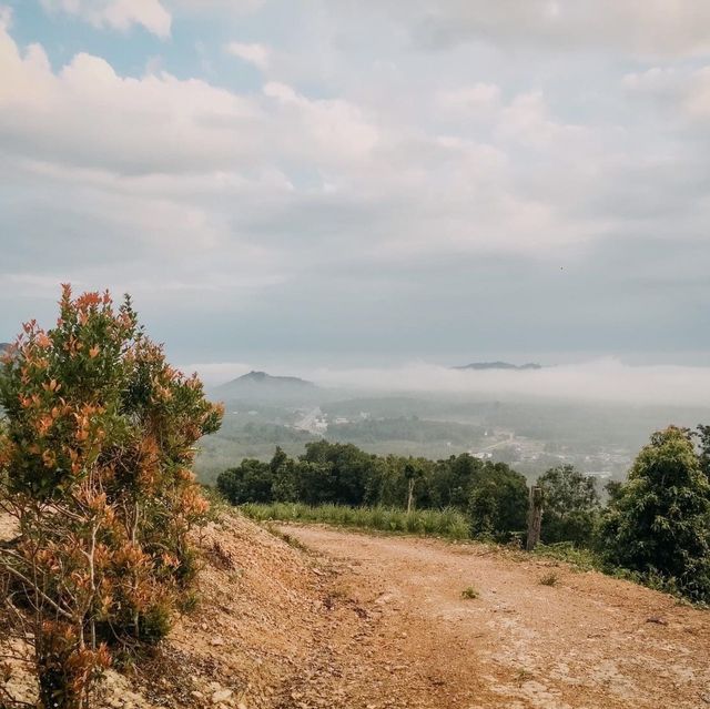 จุดชมวิวทะเลหมอก ธารทอง| KOTABARU🌿🍃