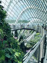 新加坡🇸🇬濱海灣花園阿凡達展