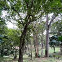 Nature's Bliss: Youth Park's Serene Delight