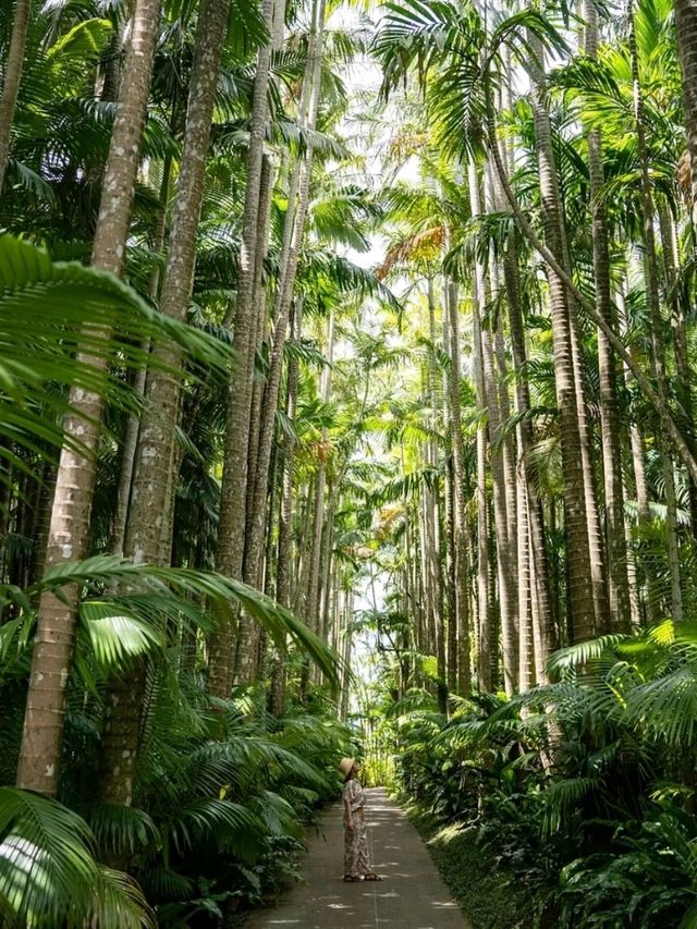 【沖縄】美らヤシパークオキナワ・東南植物楽園