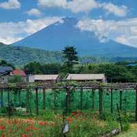 Catch A Glipse Of Mount Fuji