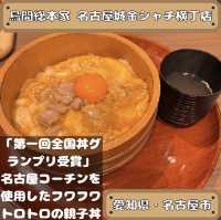 鳥開総本家金シャチ横丁店