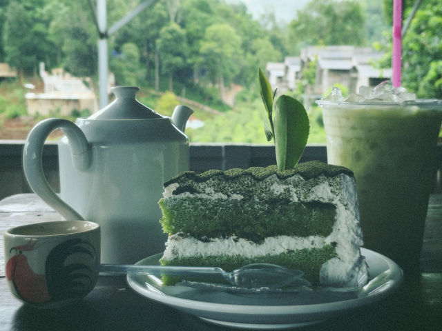 ฤดูฝนที่ไร่ชาลุงเดช🛵🏔️🌧️