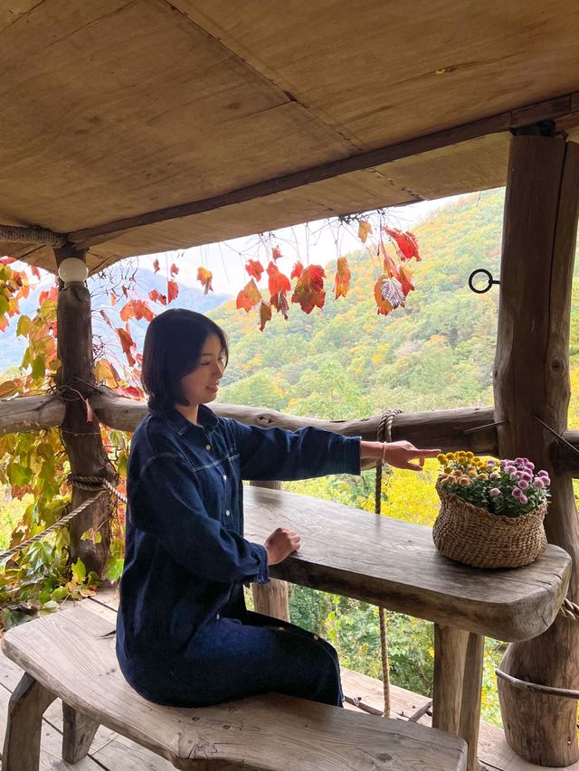 포항 숲속뷰 치앙마이감성 선류산장🌸