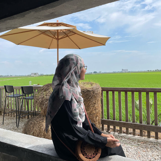 chilling in a cafe with paddy field view 🌾