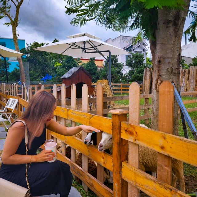 Looking for Animal Friendly Cafe?