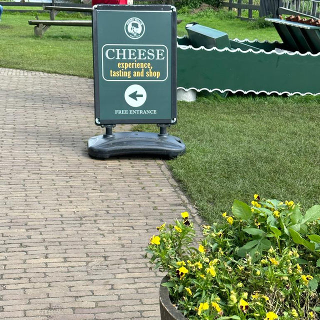 A cheese farm for cheese tasting, photo spots