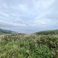 【北海道】礼文島を訪れたら楽しみたいハイキング