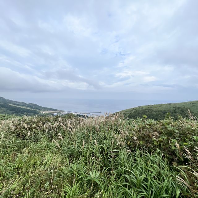 【北海道】礼文島を訪れたら楽しみたいハイキング