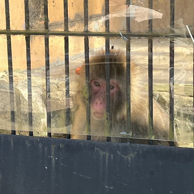 아이랑 방문하면 너무 좋은 청주 동물원 ✨