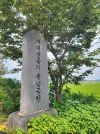 여기가 한국이라고? 이국적돌탑의 향연🪨