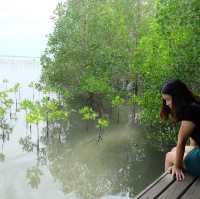 ทุ่งโปรงทอง ปอดของชาวแกลง