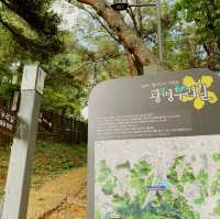 도심속 휴식