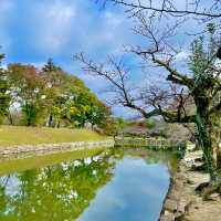 Hikone Heritage Hub: Unveiling History