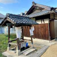 Yasaka Shrine: Centuries Unfolded Grace