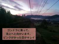 発生率40％の奇跡！雲海テラスドライブ