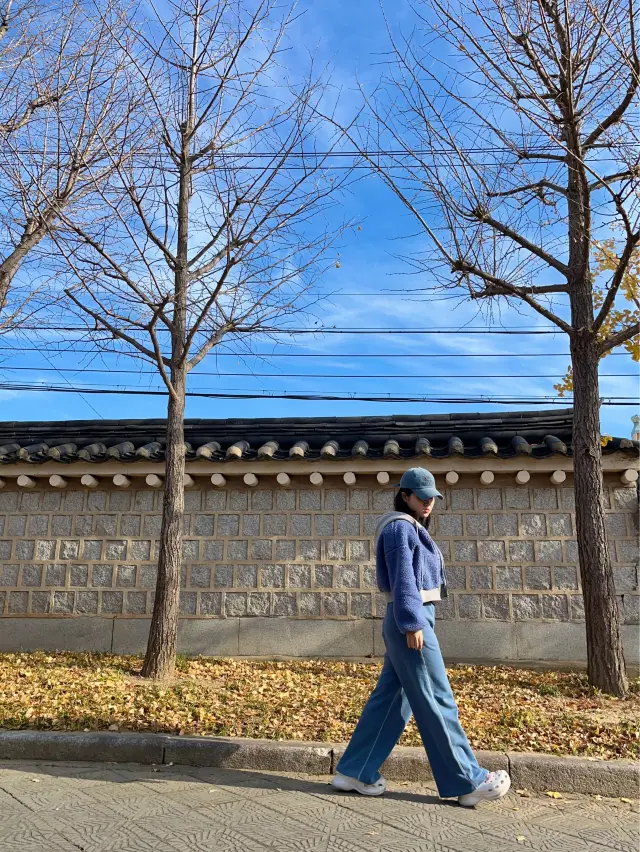 부산 가을의 끝자락을 느낄 수 있는 곳