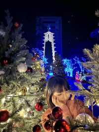 경주 엑스포공원 야경명소 별빛산책✨🎄