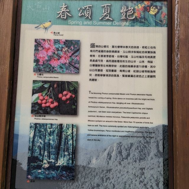 大雪山國家森林遊樂區的美好享受