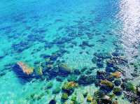 【絶景】限りなく透明に近いブルー！知る人ぞ知る美しい日本の海！柏島🚢