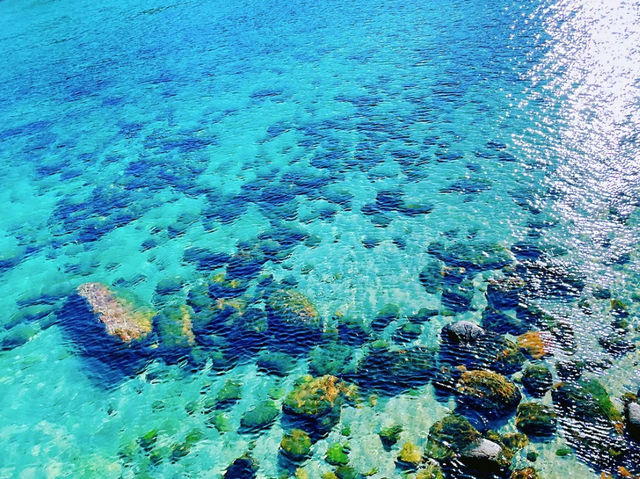 【絶景】限りなく透明に近いブルー！知る人ぞ知る美しい日本の海！柏島🚢