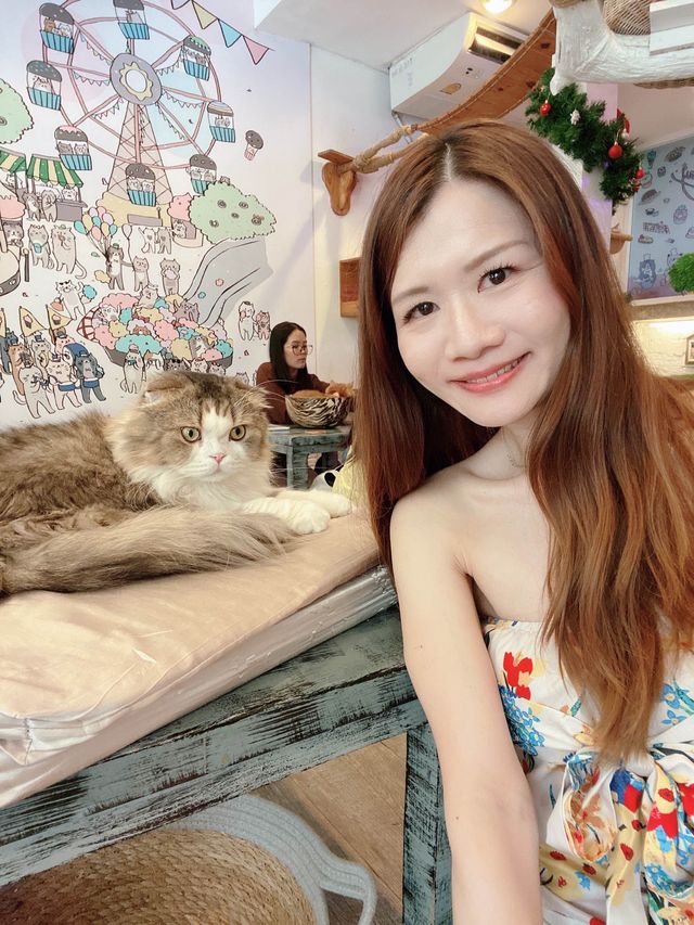曼谷貓cafe 