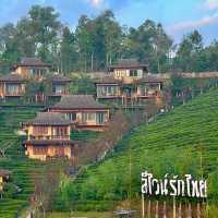 Serene Splendor: Chasa RakThai Retreat