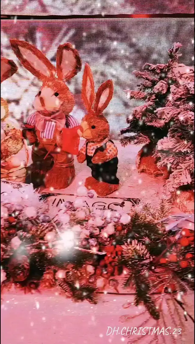 반짝반짝 빛나는 계절이 왔습니다