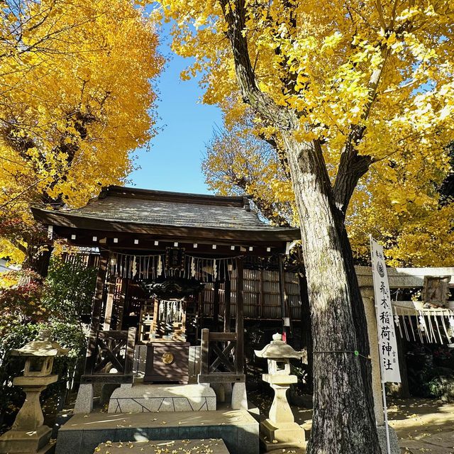 兩個東京巿區隱敞超美銀杏神社