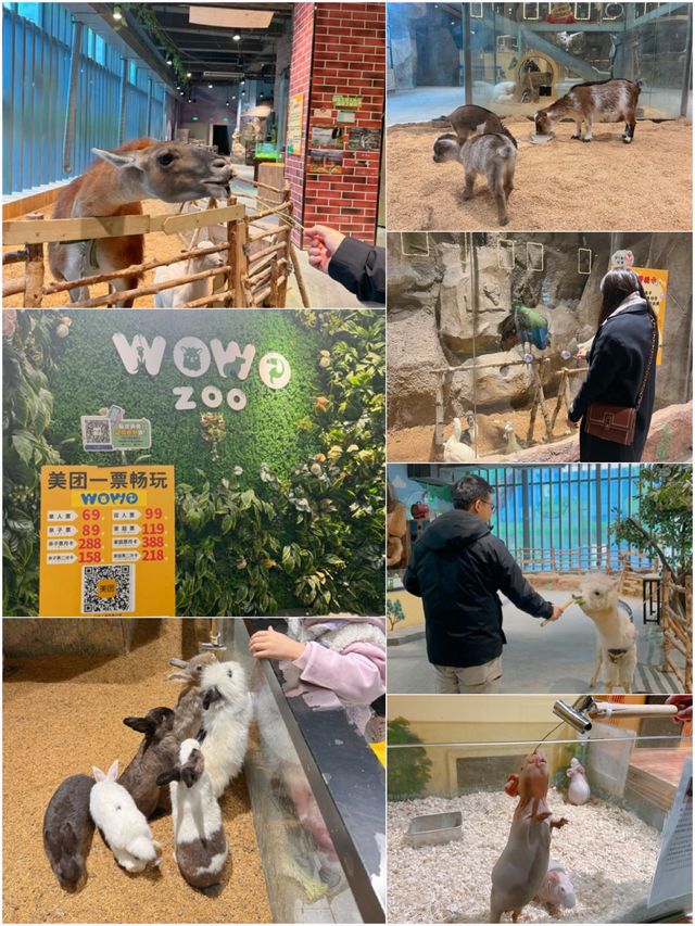 📍深圳好去處｜全天侯吃喝玩樂的寶藏商場🧋🎠🛍️