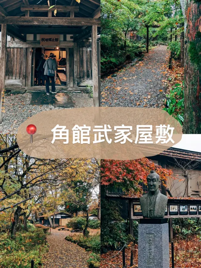 🇯🇵日本東北👣 秋田縣角館武家屋敷🍁