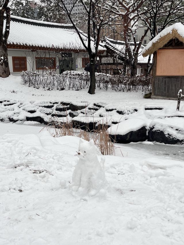눈에 뒤덮인 한옥 마을이 서울에 있다고!?❄️