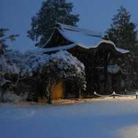 雪裡遊玩😆千光寺