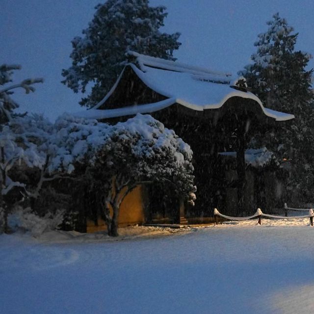 雪裡遊玩😆千光寺