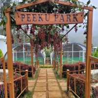 Best Park for Kids in Yercaud hill station 