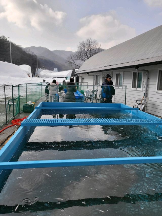 겨울여행지로 여기 안가면 섭섭해❄️